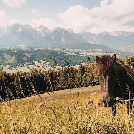 Poserhof 3* Schladming