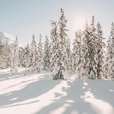 Posers Bergwelt 호텔 슈라드밍