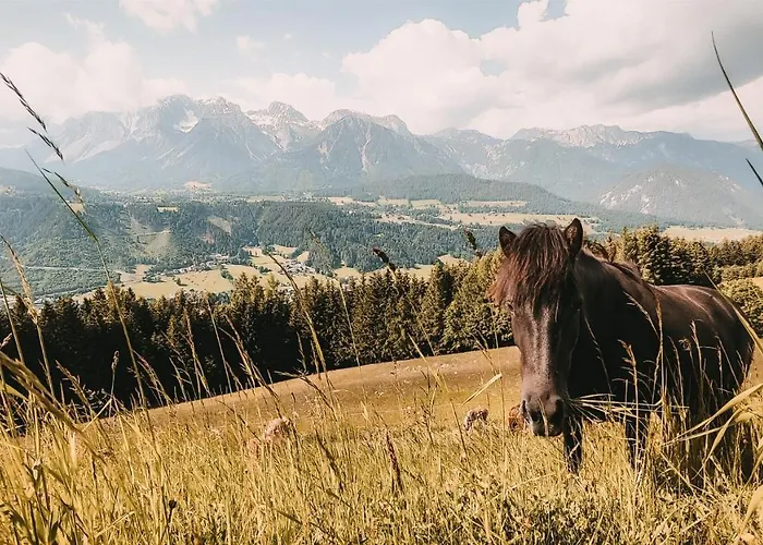 Posers Bergwelt 3* 슈라드밍