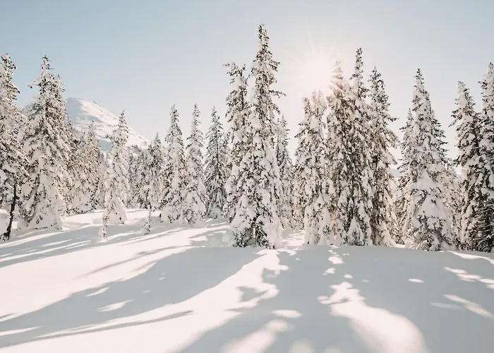 Posers Bergwelt 호텔 슈라드밍